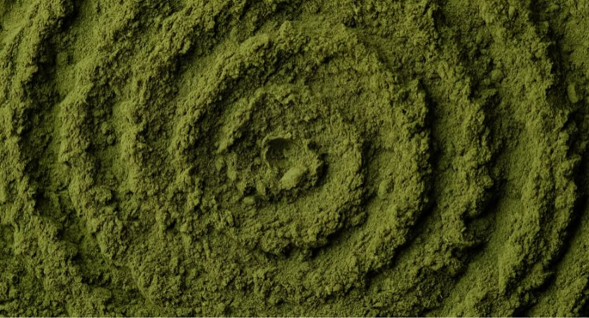 Several Ecklonia Cava Supplements Contain No Detectable Bioactives: Nootropics Depot
